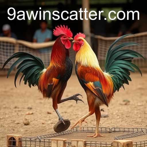 poker heads-up um contra um